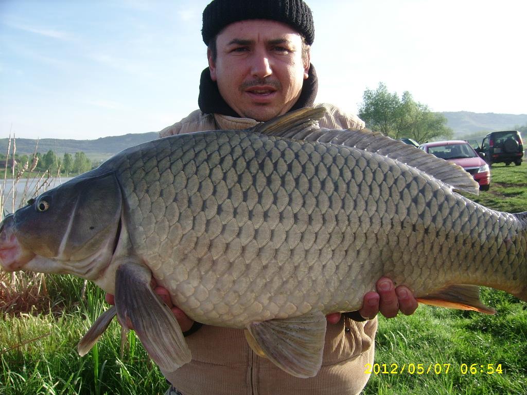 cristi - ssa504121.JPG